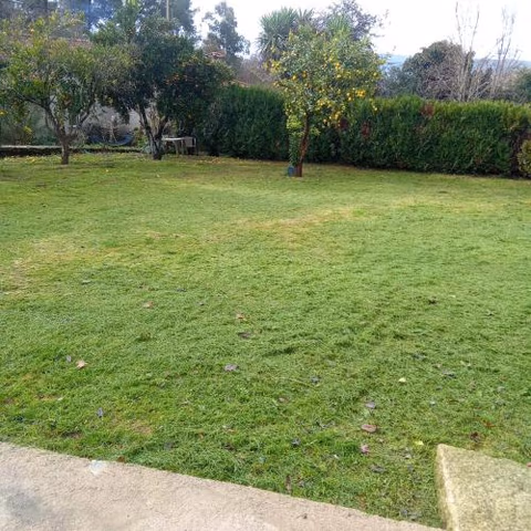Casa dos Gémeos — photo 7