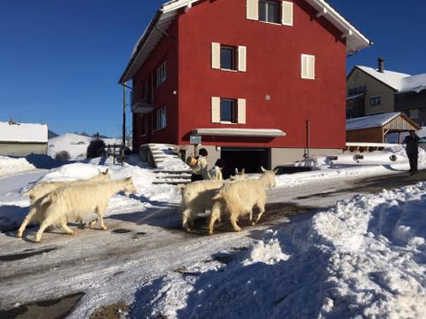 BnB chezlise — foto 5