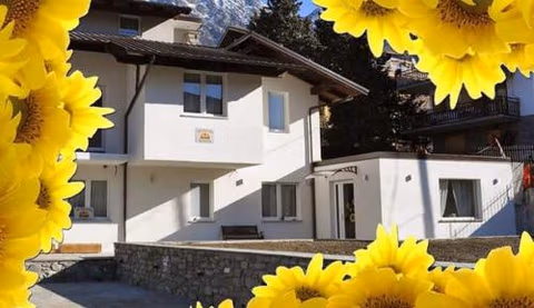 Il Girasole — foto 2