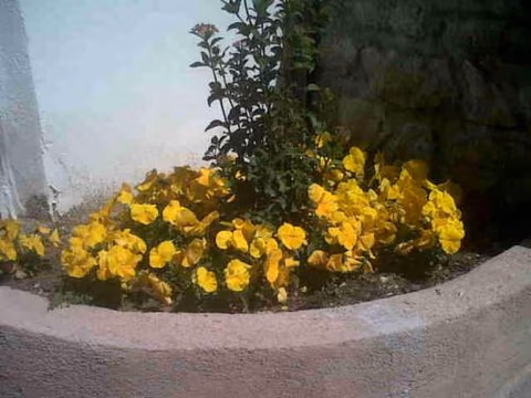Villa Colmenar — foto 8