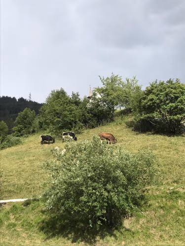 Apartmant Mary — foto 5