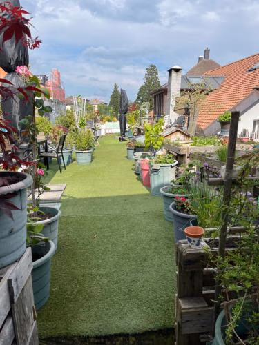 Appartement SEPHORA accès terrasse commune — foto 6