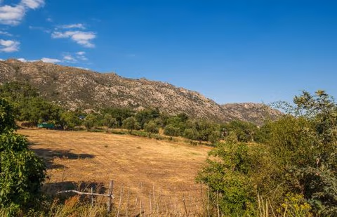 La Puerta Verde — foto 2