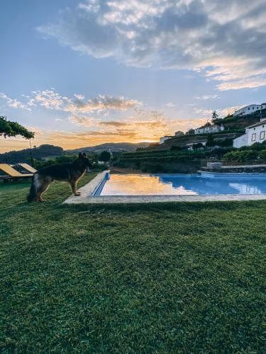 Casa d' Alem — foto 3