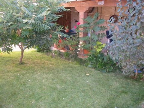 Casa Rural Arturo I — foto 1