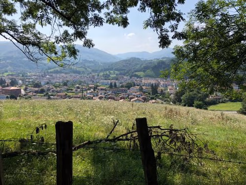 Zubitarte — photo 6