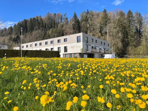 Hotel Swiss Bellevue Oberwangen — foto 3