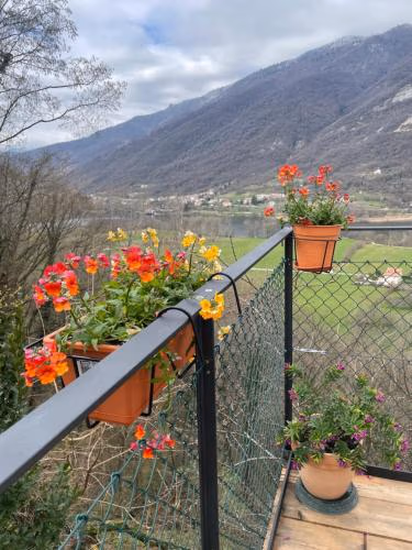 ALTRAVISTA TARZO — foto 5