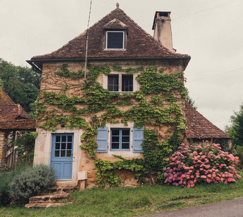 Maison Le Grand Saule — photo 1
