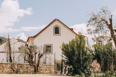 Torel Quinta da Vacaria - Douro Valley — photo 6