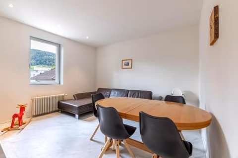 Mount Pilatus view Apartment Lucerne with free parking & WIFI — foto 2