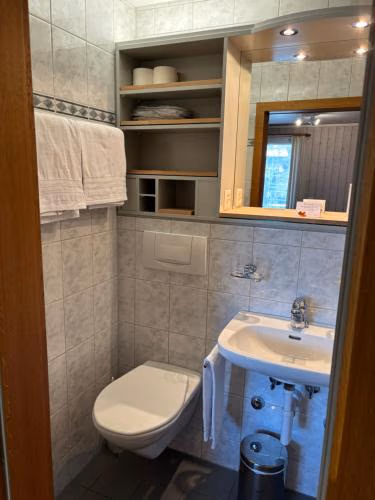 Alpina Boutique Hotel Interlaken - Ringgenberg - Adults only ! — foto 9