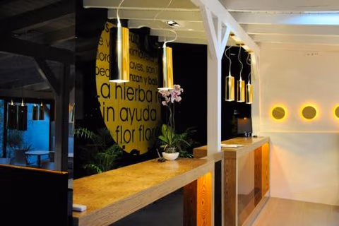 Hotel Domus — foto 3