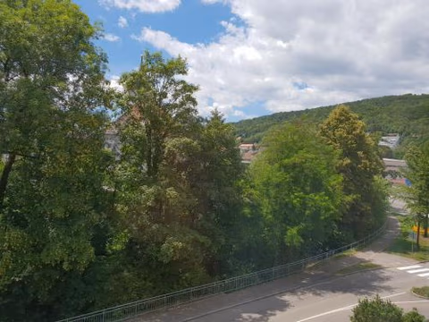 Waldshut-Zentrum — foto 6
