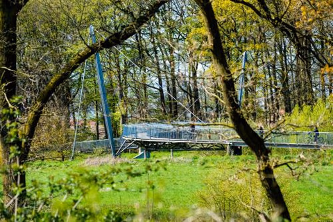 Waldhotel Schipp-Hummert — foto 5