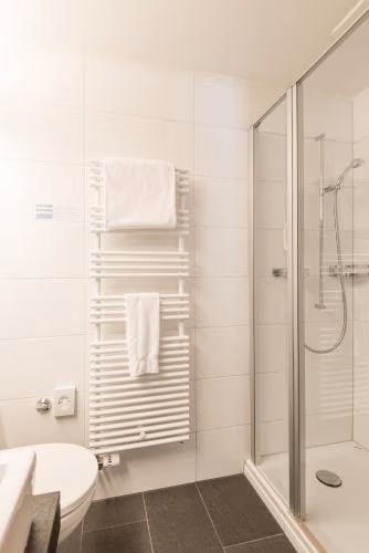 Hotel Alpina Luzern — foto 7