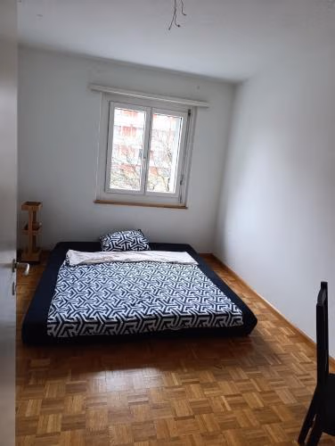 ESC Basel Furnished Apartment — foto 6