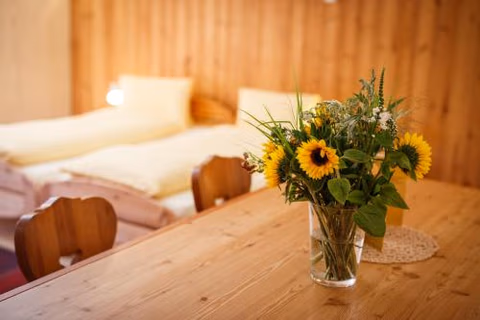 Hotel Nufenen — foto 4