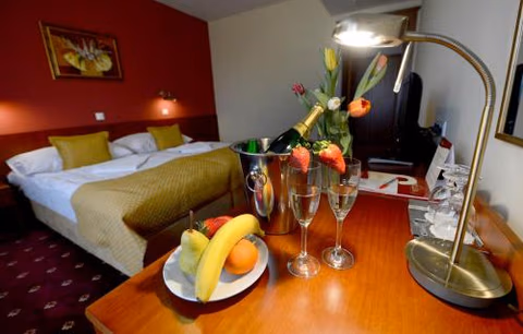 Hotel Tilia — photo 8