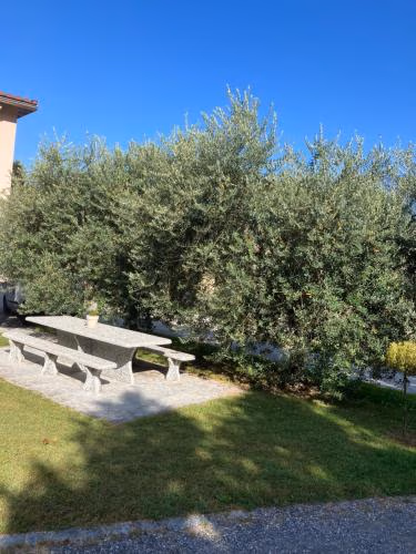 RESIDENZA GIOVANNI — foto 4