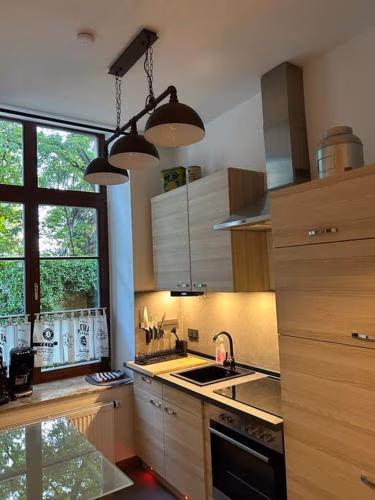 Ruhige Wohnung im Fabrikstil in Chemnitz — photo 8