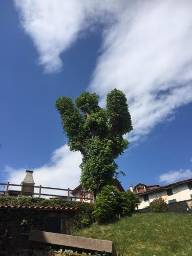 Etxezuria — foto 8