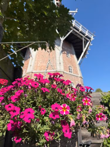 B&B Het Molenhuisje Winschoten - met woonkamer & keuken — photo 4