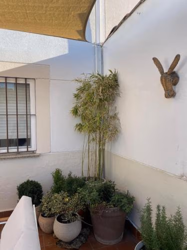 Casa Mauro — foto 7