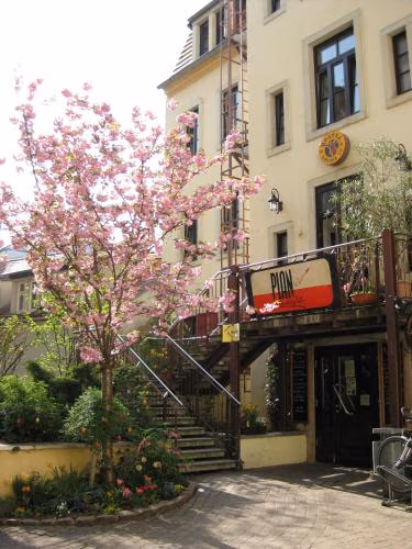 Hostel Louise 20 — photo 1