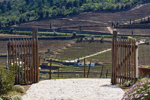 Quinta dos Padrinhos - Suites in the Heart of the Douro — foto 3