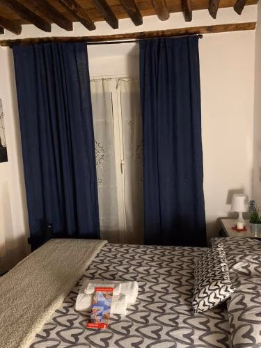 Le Parole del Gatto — foto 7