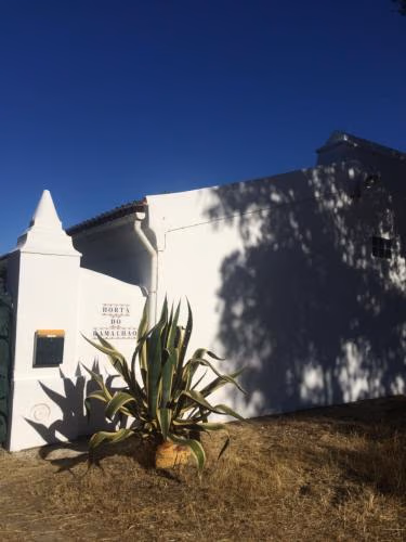 HORTA do RAMALHAÕ — photo 2