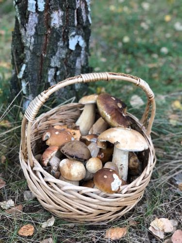 CHEZ YAYA Bogumiła Szeląg — foto 9