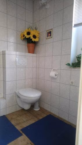 Haus Bechinger — foto 9