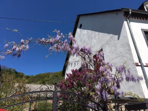Alter Winzerhof — foto 4