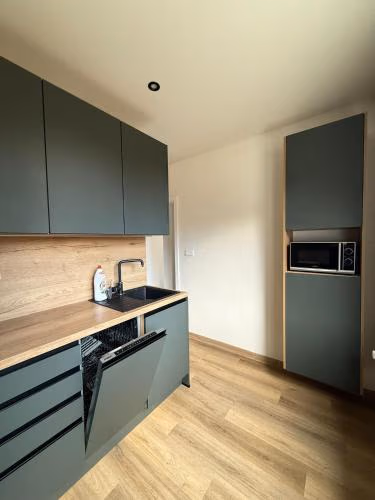 Mid-Town Spacious Apartment — photo 3