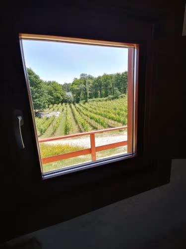 Quinta Pousada de Fora Wines & Tourism — foto 7