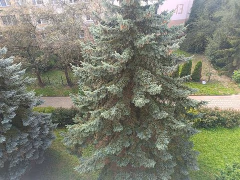 Apartament Przemyśl — photo 7