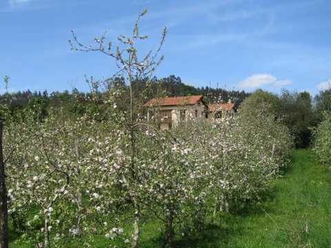 Quinta El Verxel - Ecoturismo — photo 3