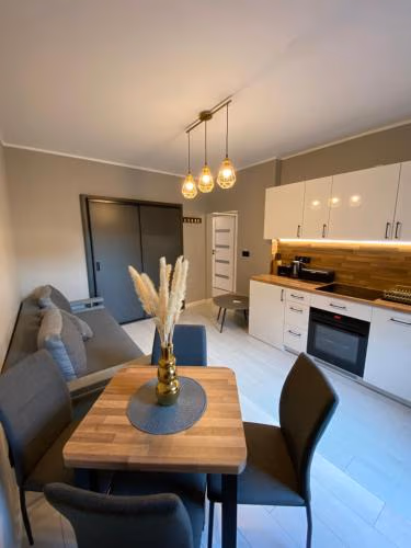 Apartament Jarosław — photo 1