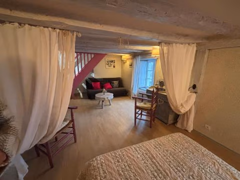 Gîte de La Toue de Loire — foto 3