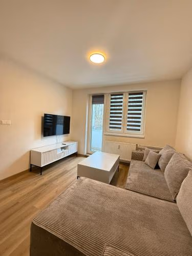 Mid-Town Spacious Apartment — photo 5