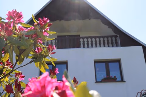 Pension Hubertushof Monteurunterkunft — photo 7