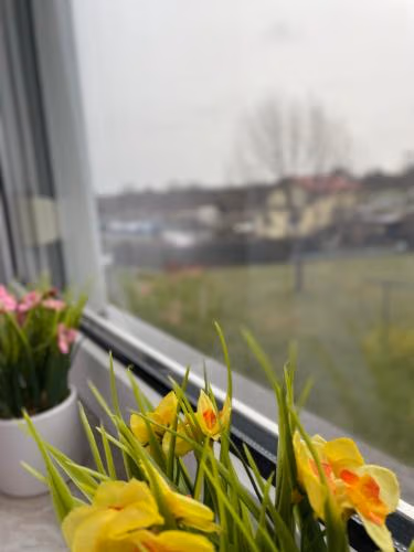 Ruhige Ferienwohnung Zeithain — foto 7