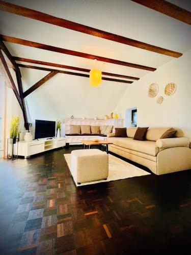 Chris & Aris Ferienwohnung Waldshut Zentrum — foto 5