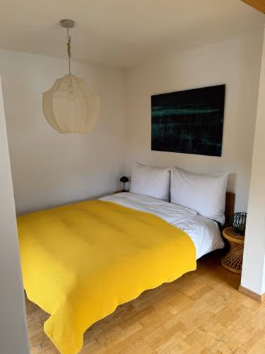Waldheim Laax Pension — foto 1