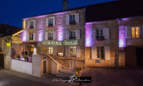 Logis Hôtel Le Cheval Blanc — foto 2