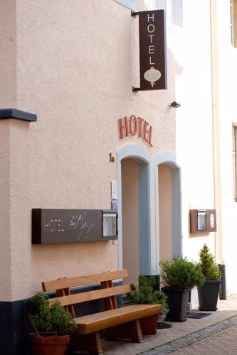 Hotel Alt Speyer — photo 1