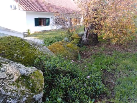 Quinta Souto da Ordem - House — photo 1