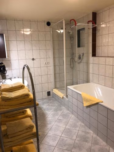 Hotel Seehalde — foto 7